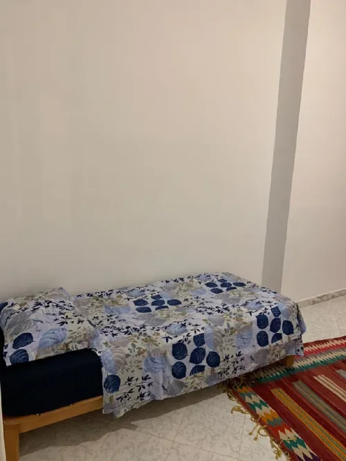 Location Appartement F5 Alger Alger centre
