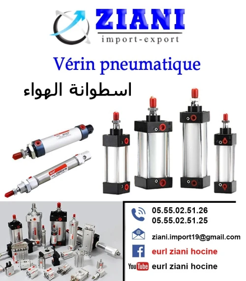 Vérin pneumatique