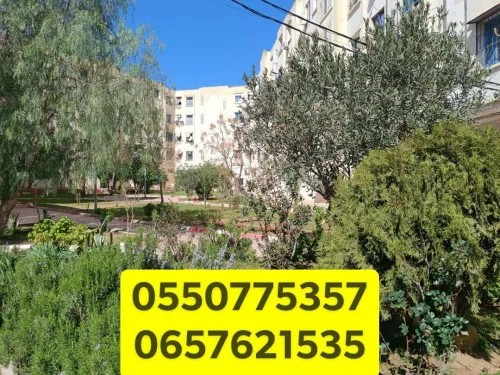 Vente Appartement F3 Bouira Bouira