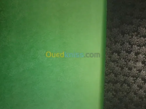 peinture décoration electricité  PVC