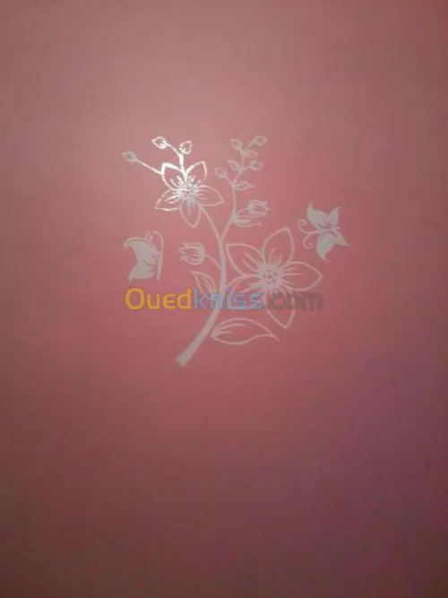 peinture décoration electricité  PVC