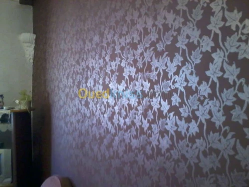 peinture décoration electricité  PVC