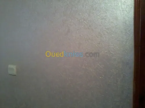 peinture décoration electricité  PVC