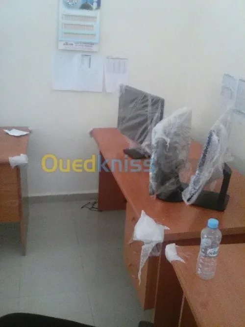 DEMENAGEMENT _PARTICULIER_ MANUTENTION