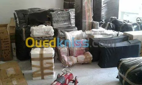 DEMENAGEMENT _PARTICULIER_ MANUTENTION