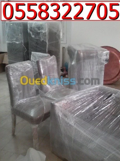 DEMENAGEMENT _PARTICULIER_ MANUTENTION