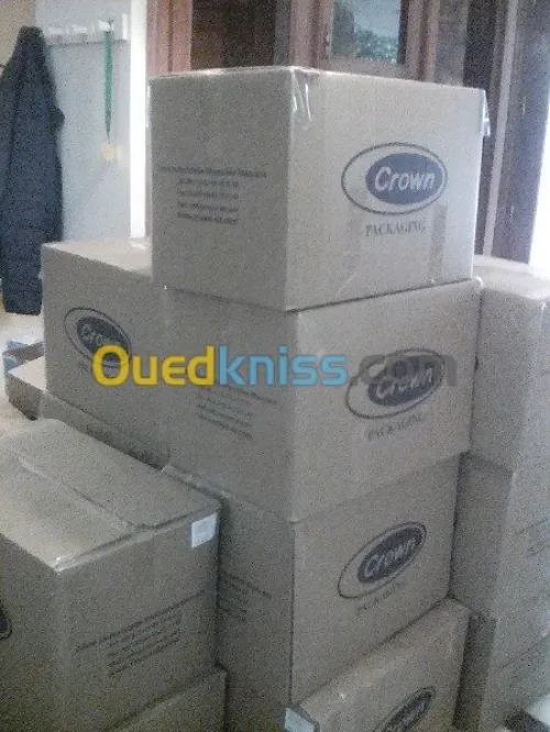 DEMENAGEMENT _PARTICULIER_ MANUTENTION