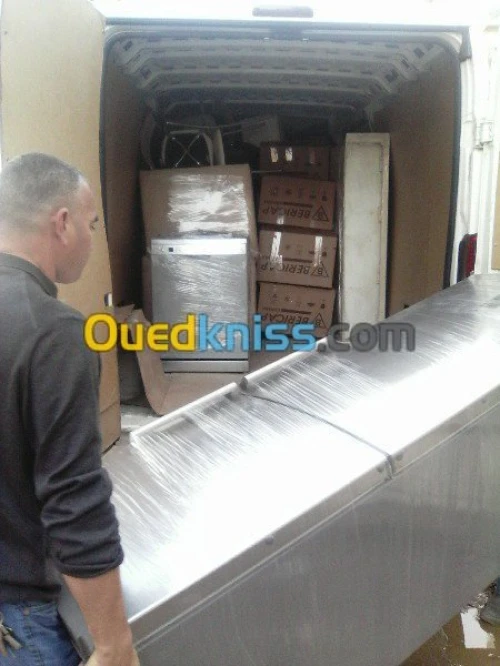 DEMENAGEMENT _PARTICULIER_ MANUTENTION