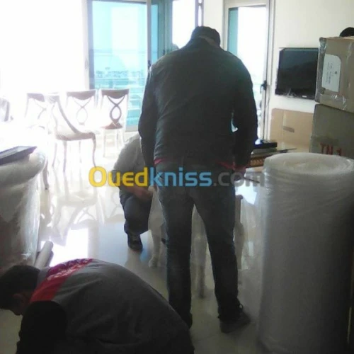 DEMENAGEMENT DES PARTICULIER (7/7j )®