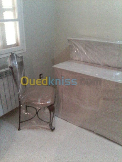 DEMENAGEMENT /TRANSPORT /MANUTENTION