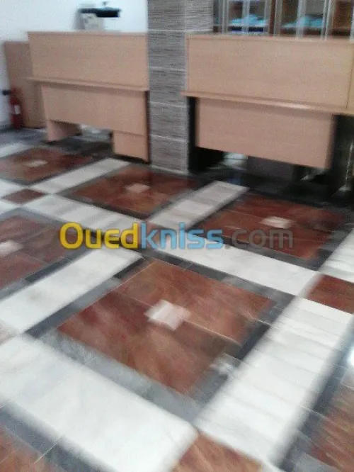 DEMENAGEMENT/ TRANSPORT /MANUTENTION