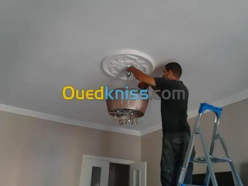 DEMENAGEMENT/ TRANSPORT /MANUTENTION