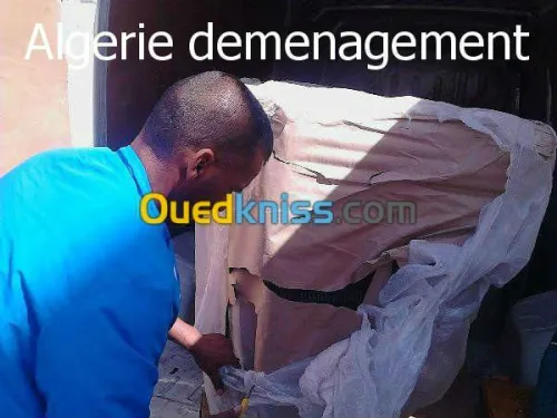 DEMENAGEMENT/ TRANSPORT /MANUTENTION