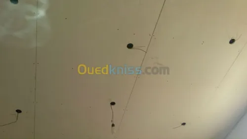 électricité bâtiment 