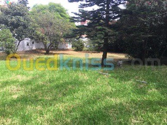 Location Villa Alger Ben aknoun