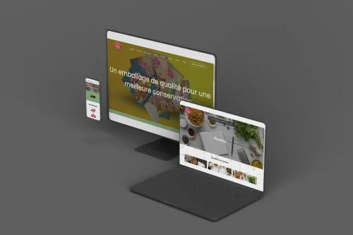 Création De Sites Web Et Gestion Des Réseaux Sociaux