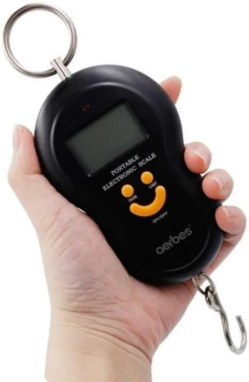 Balance électronique portable à suspendre