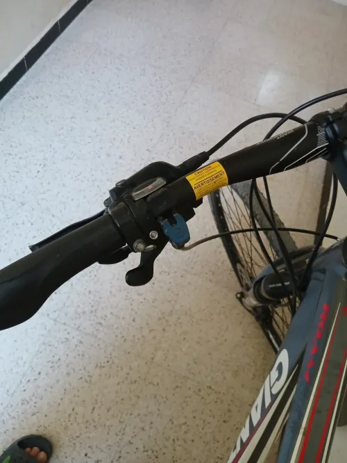 Vélo giant roam 1