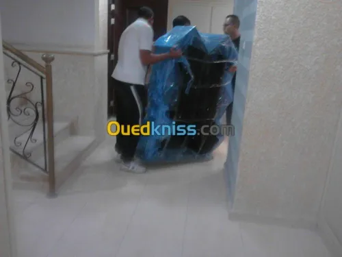 DEMENAGEMENT MANUTENTION TRANSPORT %