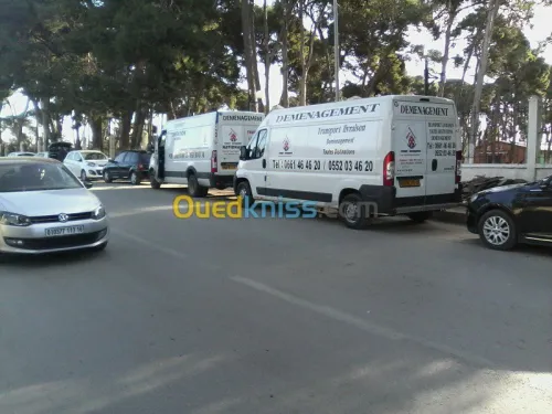 DEMENAGEMENT MANUTENTION TRANSPORT %