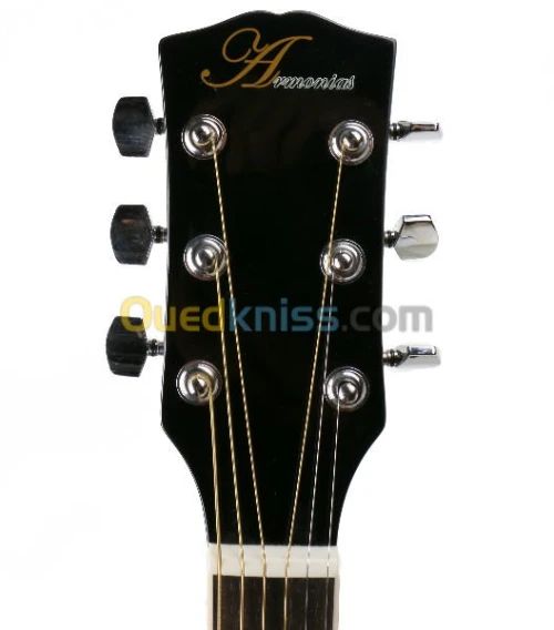 guitare armonias elctro aqoustiq411ez
