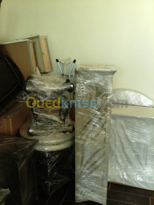 \ DÉMÉNAGEMENT TRANSPORT& MANUTENTION