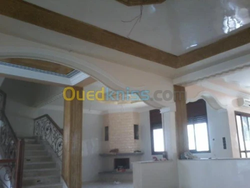   travaux  peinture deco +placo b 13