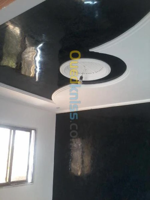   travaux  peinture deco +placo b 13