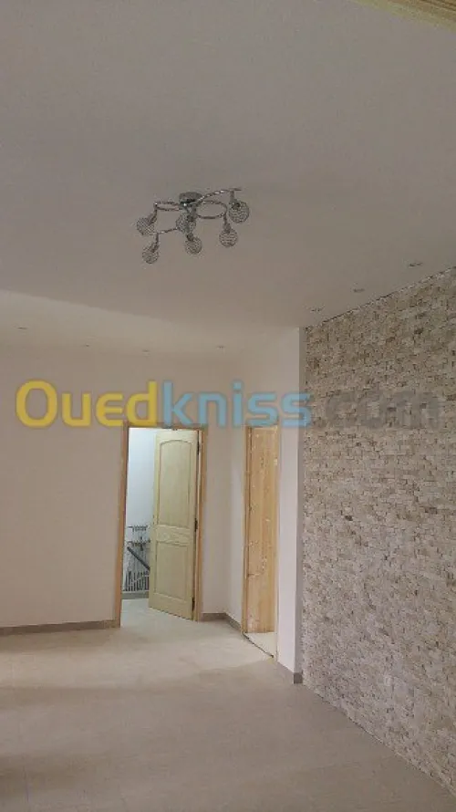   travaux  peinture deco +placo b 13