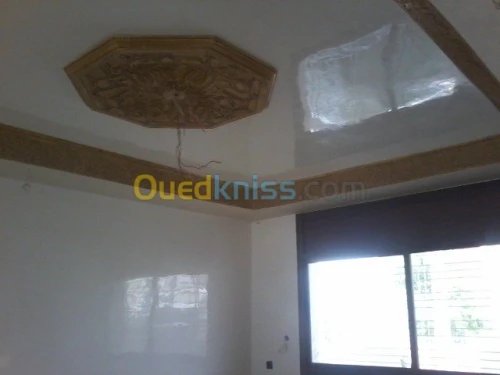   travaux  peinture deco +placo b 13