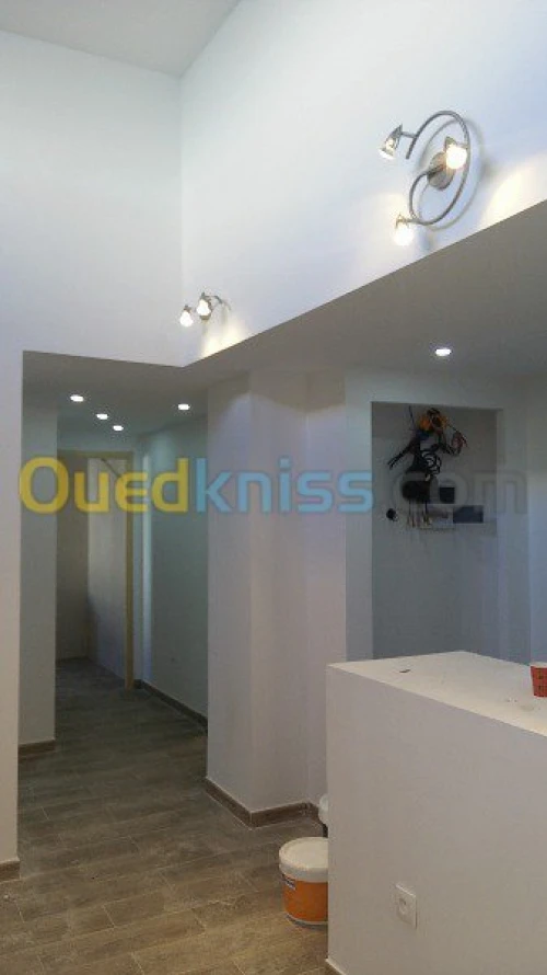   travaux  peinture deco +placo b 13