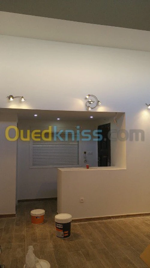   travaux  peinture deco +placo b 13