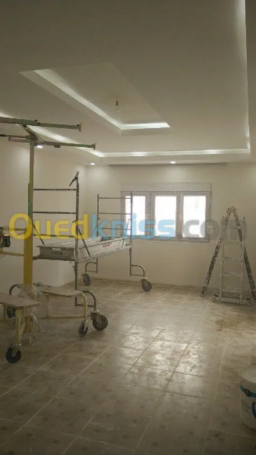   travaux  peinture deco +placo b 13