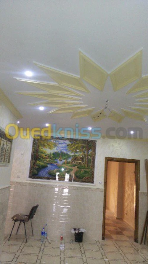   travaux  peinture deco +placo b 13
