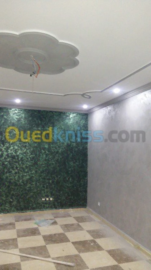   travaux  peinture deco +placo b 13