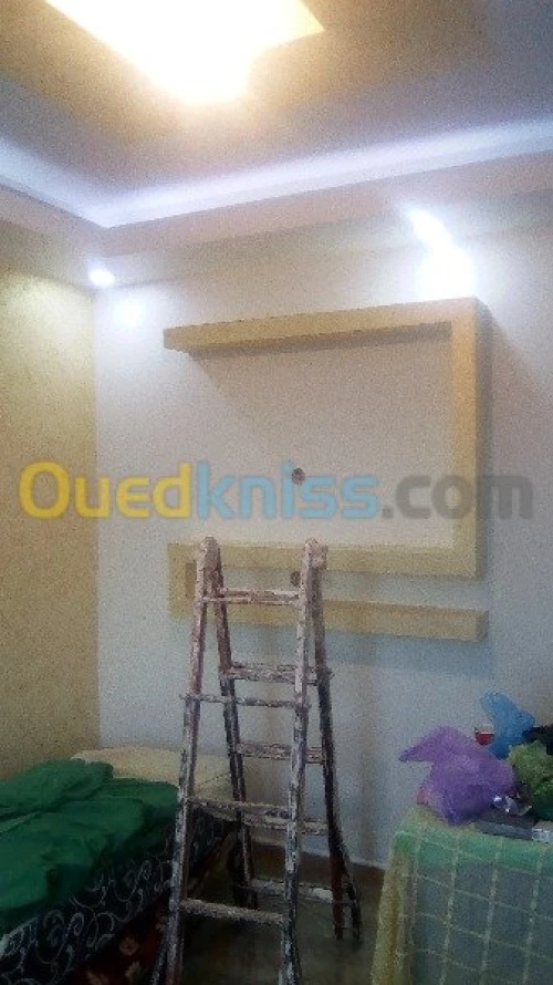   travaux  peinture deco +placo b 13