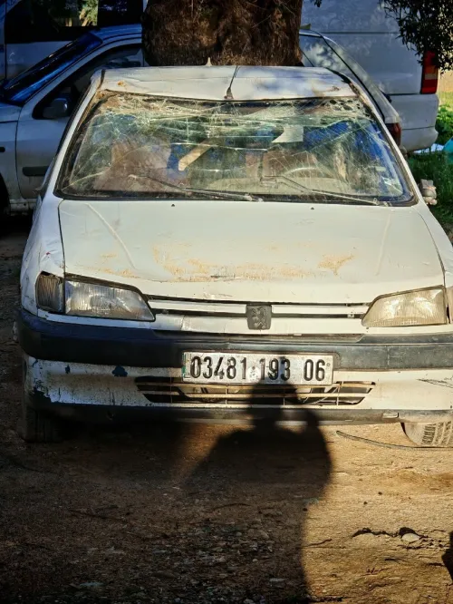 Peugeot 306 1993 306
