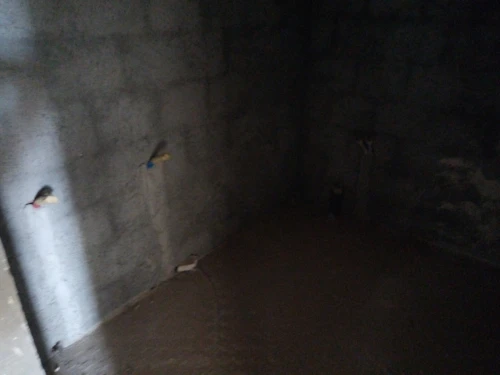Vente Villa Batna Batna
