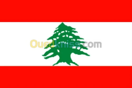 TRAVAUX DE BATIMTIMENT ET CONSTRUCTION