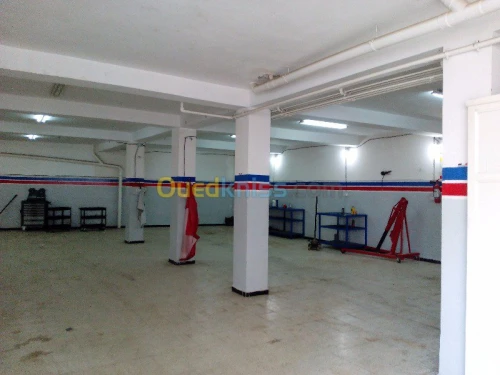 Scanner et Maintenance auto