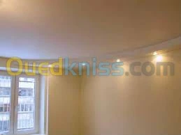 POSE PLACO PLATRE ET FAUX PLAFOND