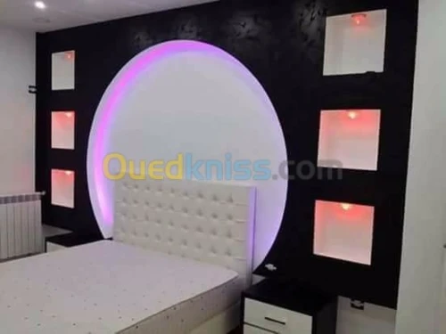 POSE PLACO PLATRE ET FAUX PLAFOND