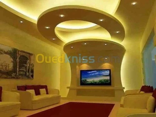 POSE PLACO PLATRE ET FAUX PLAFOND