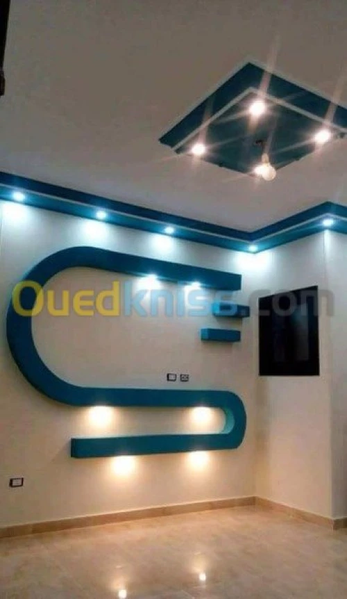 POSE PLACO PLATRE ET FAUX PLAFOND