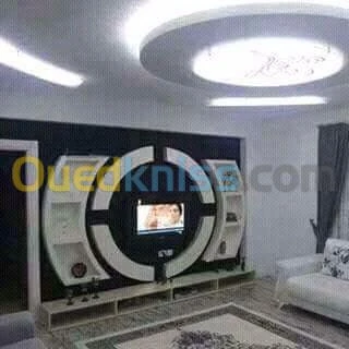 POSE PLACO PLATRE ET FAUX PLAFOND