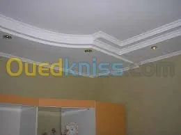 POSE PLACO PLATRE ET FAUX PLAFOND