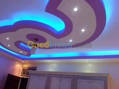 POSE PLACO PLATRE ET FAUX PLAFOND