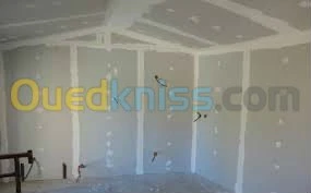 POSE PLACO PLATRE ET FAUX PLAFOND