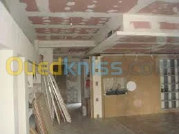 POSE PLACO PLATRE ET FAUX PLAFOND