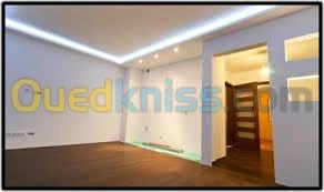 POSE PLACO PLATRE ET FAUX PLAFOND